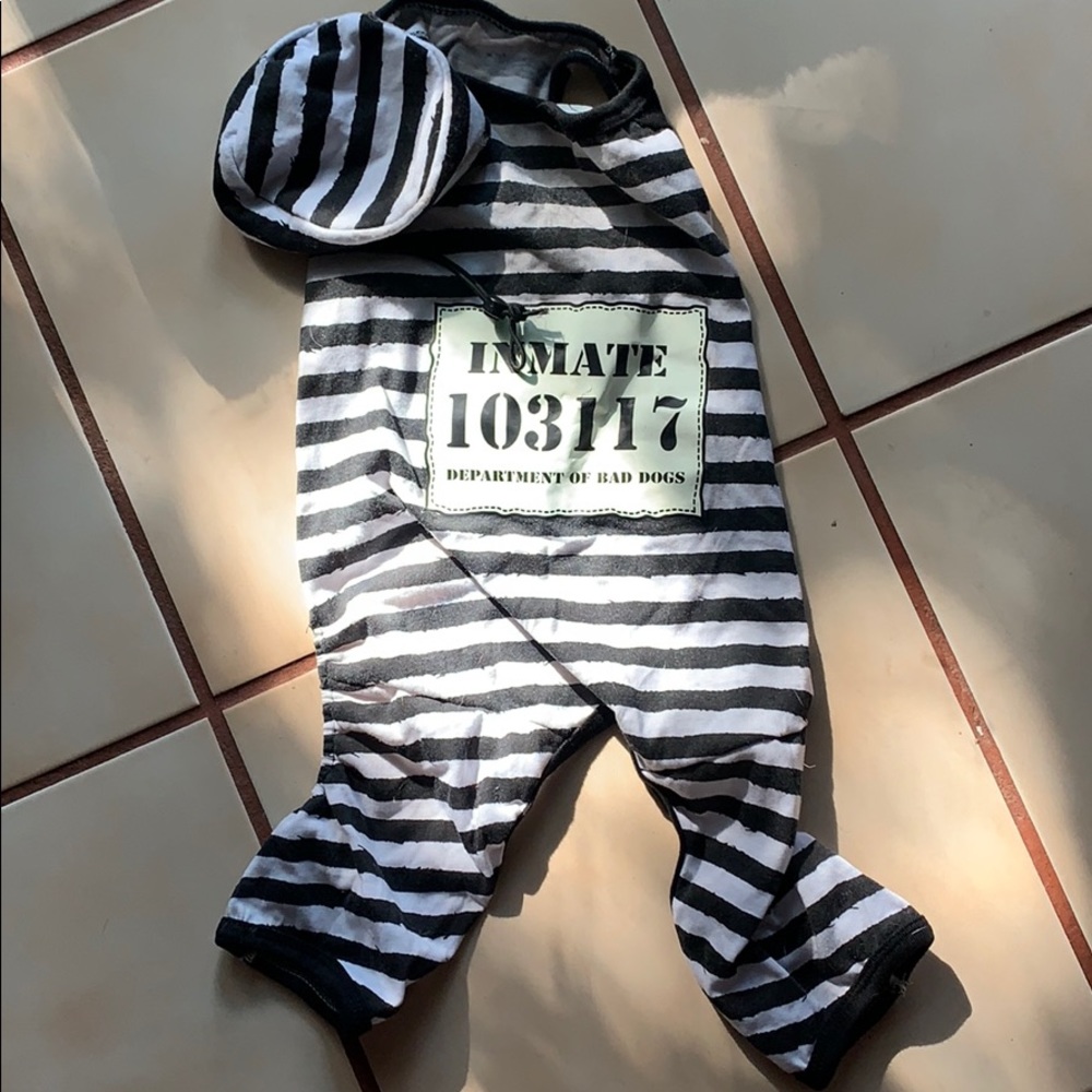Dog Halloween Costume